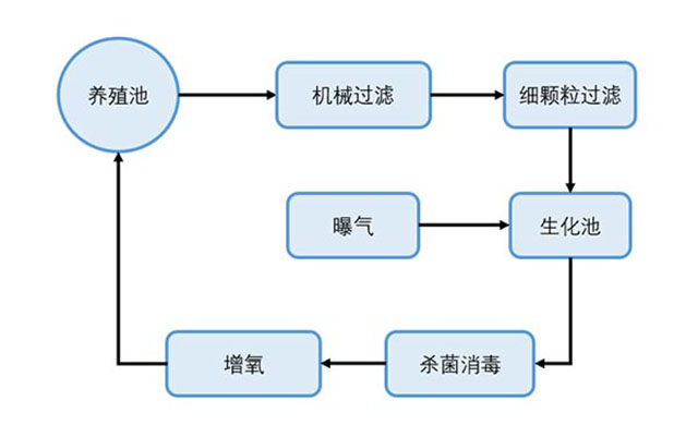 五点诀窍！120天内学成养虾，赚出50万！